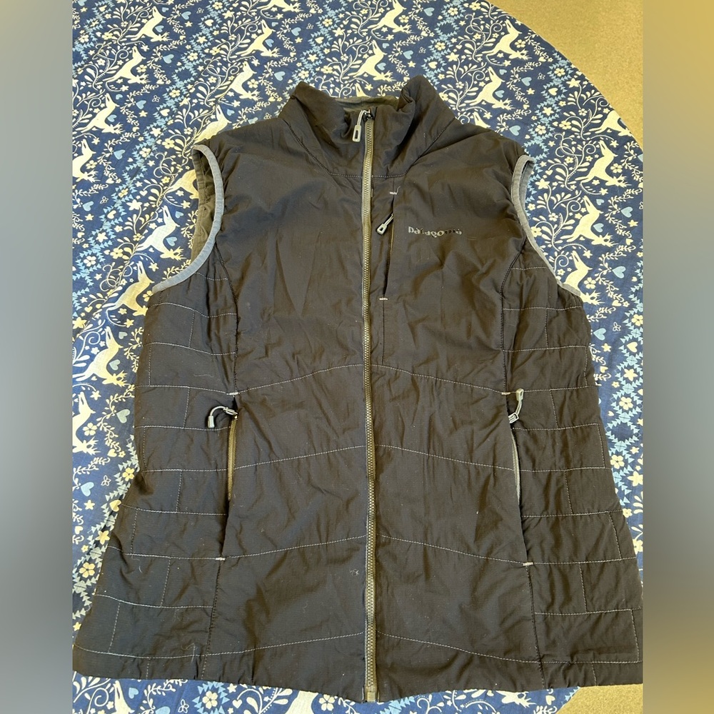 Patagonia vest.